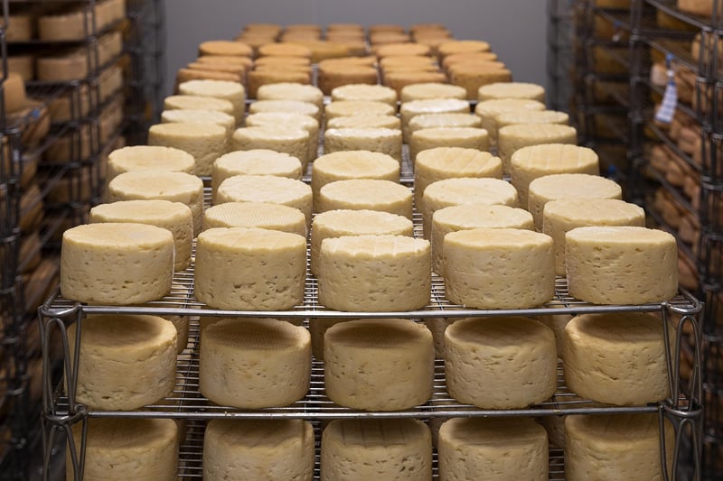 Cheese and Honey