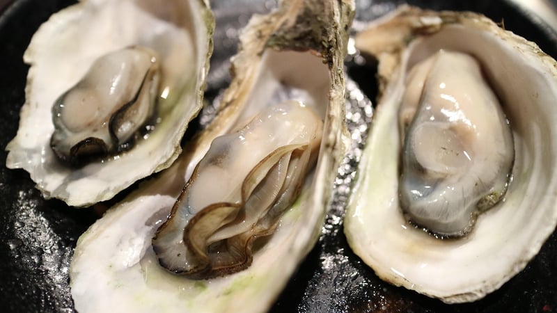 Champagne and Oysters